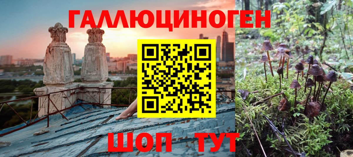 где можно купить наркотик  Вход с VPN  Мценск  Галлюциногенные грибы Psilocybine cubensis 